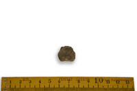 F 00009
<br/>
<br/>
<em></em>